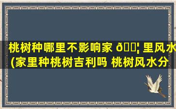 桃树种哪里不影响家 🐦 里风水(家里种桃树吉利吗 桃树风水分析)